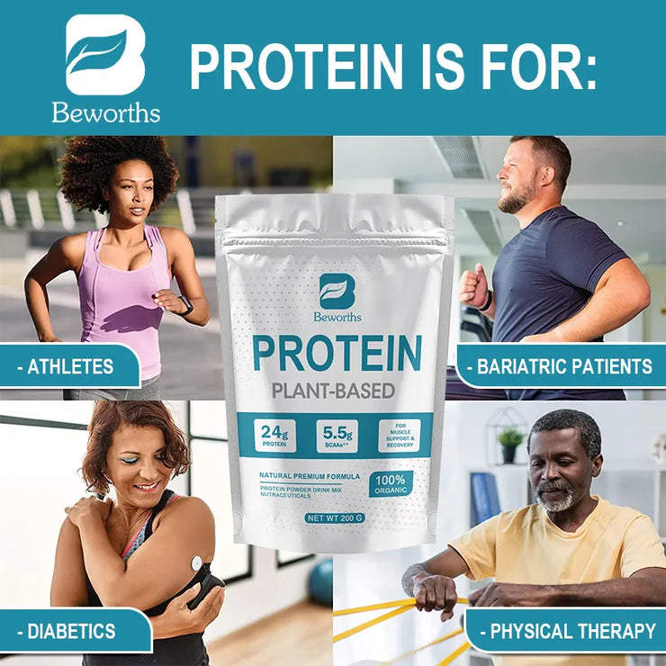 Vegetarian Whey Protein Essential for Fitness Protein to Increase